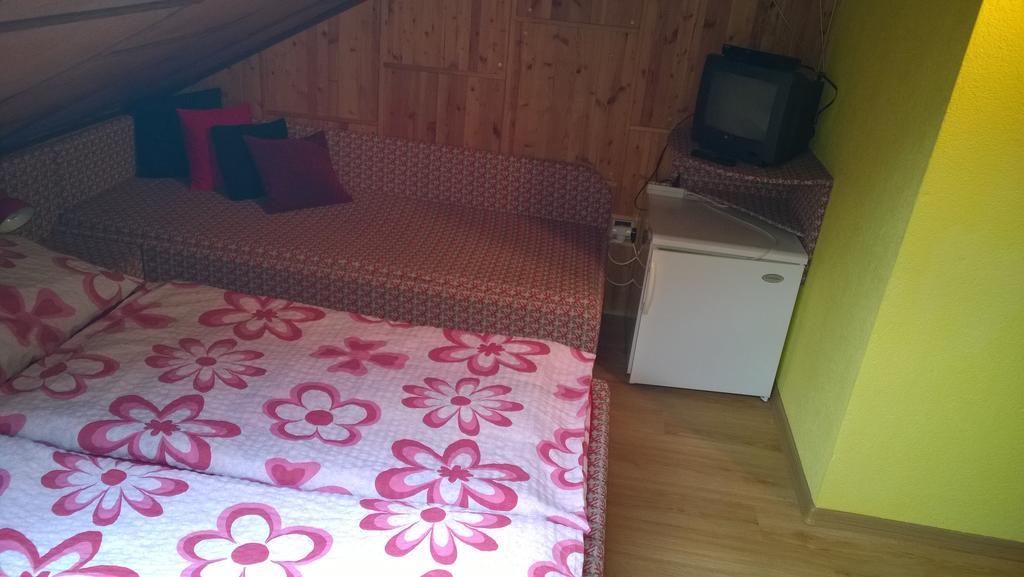 Pension Nika Český Krumlov Dış mekan fotoğraf