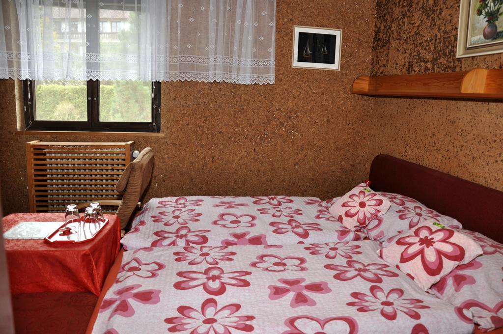Pension Nika Český Krumlov Dış mekan fotoğraf